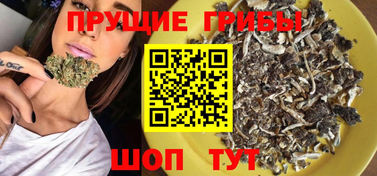 Псилоцибиновые грибы прущие грибы Дюртюли